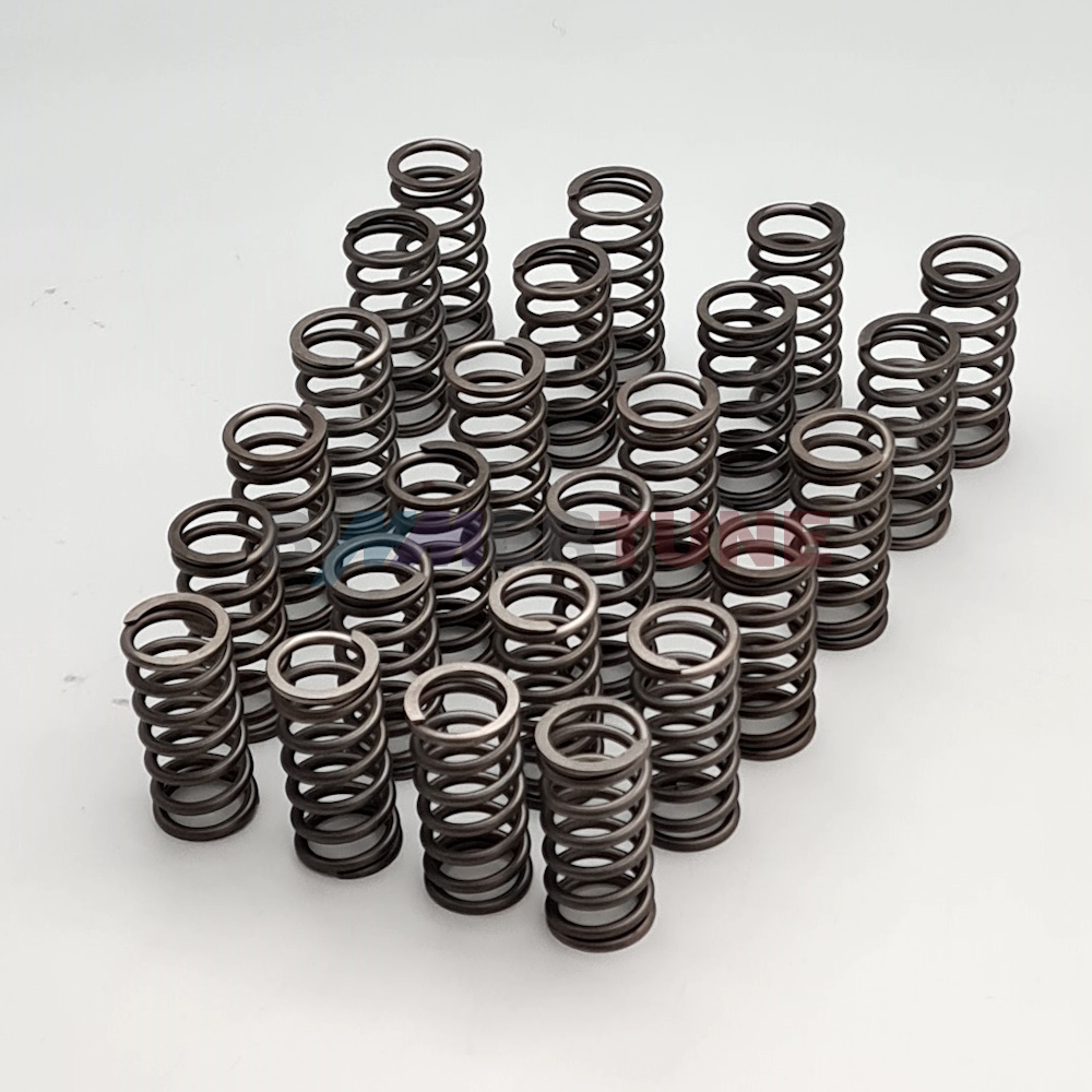 Stronger valve springs N57 B57 • BMW 330d 335d 535d M50d & other |2012 to 2020|